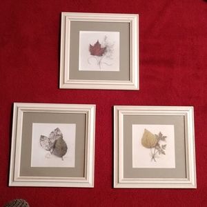 Set of 3 matted pictures